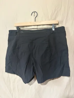 North face shorts thumbnail 2