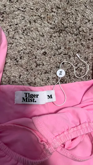 Tiger Mist Pink Crop Top thumbnail 3