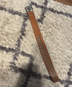 Brown Belt thumbnail 1