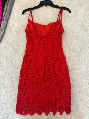 Bardot Red Lace Dress thumbnail 5