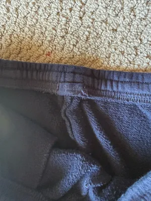 Brandy Melville Sweatpants thumbnail 2