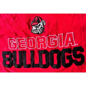 Champion Vintage Georgia Bulldogs T Shirt Large Red Short Sleeves Embroi… thumbnail 4