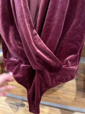 Express Velvet V Neck Bodysuit thumbnail 4