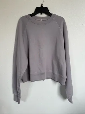 SKIMS French Terry Shrunken Crew Sweatshirt Mineral Gray L NWT thumbnail 2
