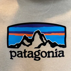 Patagonia Uprisal P-6 Hoodie Mens M Womens L Oatmeal Gorpcore Sustainable Preppy thumbnail 4