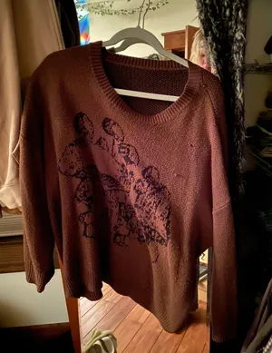 Super Cute Brown Maroon Sweater Size M thumbnail 1