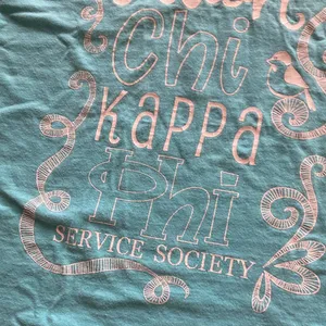 Comfort Colors Chickadees T-Shirt Light Blue Unisex Size Large Rush Chi Kappa thumbnail 8
