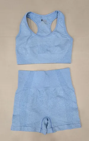 Gymshark Seamless Light Blue Sports Bra & High-Waist Shorts Set Size S thumbnail 1