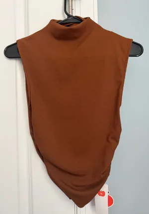 Cider Sleeveless Ribbed Mock Neck Tank in Rust Brown thumbnail 1
