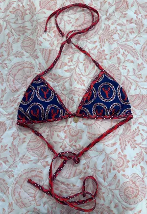 Shein Lobster Bikini Set thumbnail 1