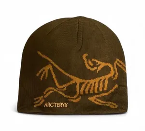 Arcteryx bird head toque beanie thumbnail 1