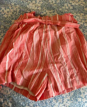 Striped Shorts thumbnail 4