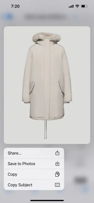 Aritzia Wilfred Mont Blanc Parka - New with tags - Size S - Jack… thumbnail 3