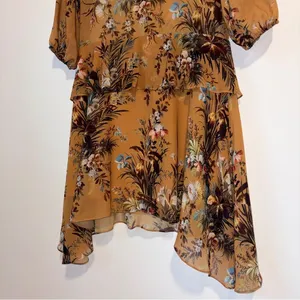 Anthropologie dRA Sheer Blouson Dress S Neutral Floral Chiffon Ruffle Office thumbnail 6