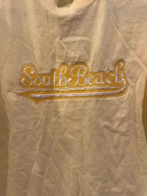 Comfort Colors South Beach Miami FL Embroidered Cropped Tee thumbnail 3
