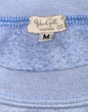 Brandy Melville Erica Light Blue Bear Sweatshirt thumbnail 5