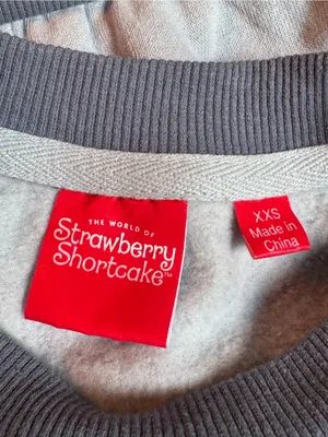 Strawberry Shortcake Blue Stripe Cropped Sweater xxs thumbnail 6