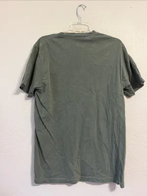 TikTok viral shirt Kind Words are like Honey comfort colors thumbnail 3