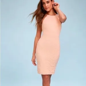 NEW Lulus Magic of Love Blush Light Soft Pink Lace Bodycon Dress Size Sm… thumbnail 13