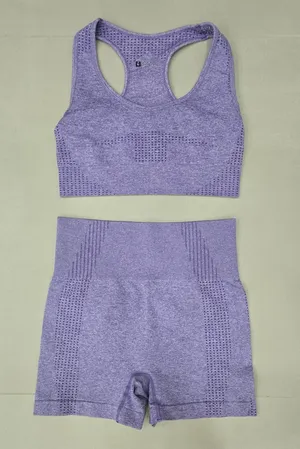 Gymshark Seamless Purple Sports Bra & High-Waist Shorts Set Size S thumbnail 1