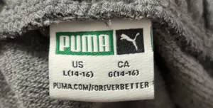Puma Sweatpants gray thumbnail 3