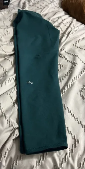 Alo Yoga High-Waist Airbrush Leggings in Dark Cactus thumbnail 1