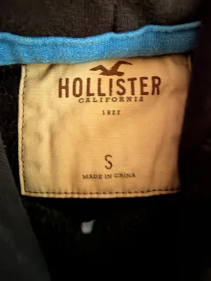 Hollister Hoodie thumbnail 2