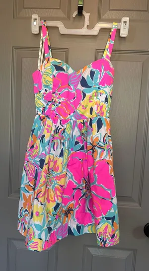 Fit And Flare Sundress thumbnail 1