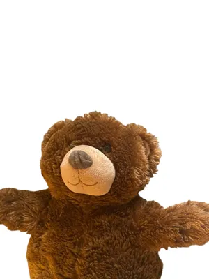 Unipack Teddy Bear Back pack Dopamine maximalism club kid 90s whimsical thumbnail 9