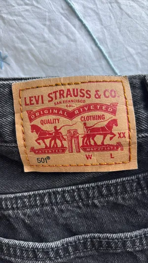 Levi’s Shorts thumbnail 4