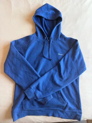 Champion Sweatshirt Hoodie Blue thumbnail 1