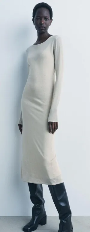 Long Shiny Zara Dress thumbnail 1