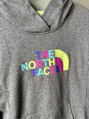 The North Face Women’s Gray Logo Hoodie Size Large thumbnail 2