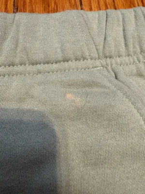 North Face Sweatshorts thumbnail 2