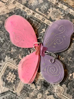 Fairy wings Halloween costume thumbnail 1