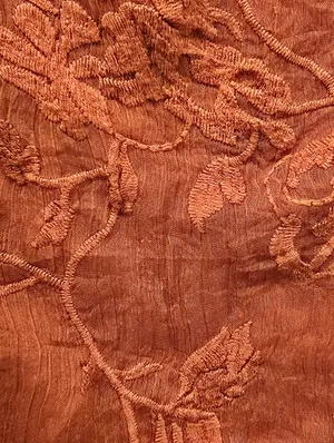 Anthropologie Tiny Noah Embroidered Lace Blouse Burnt Orange XS thumbnail 7