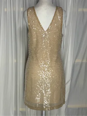 🆕 A New Day Womens Champagne Sequin V-Neck Mini Dress Size XS thumbnail 4