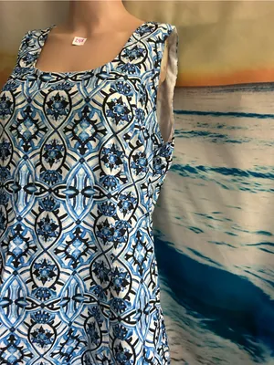 The Limited Women’s Blue & White Floral Sleeveless Printed A-Line Dress 14 thumbnail 3
