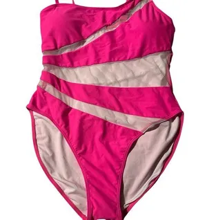 Pink and mesh Swimsuit Size XL thumbnail 1