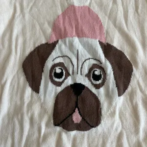 Loft pug 100% cotton crewneck sweater size xs thumbnail 7