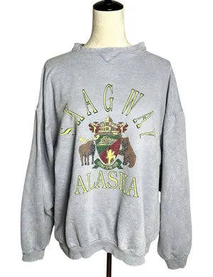 Vintage‎ Skagway Alaska Crest Sweatshirt | Distressed Graphic Pullover | 90s Y2K thumbnail 1