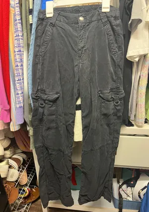 American Eagle Outfitters Cargo Pants thumbnail 1