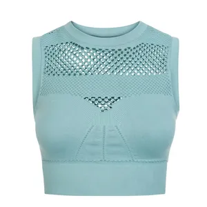 IVY PARK Light Blue Mesh Detail Athletic Athleisure Crop Top thumbnail 2