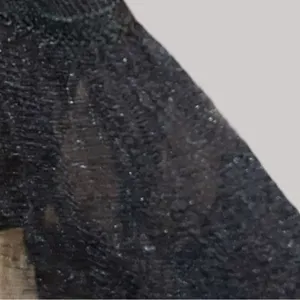 Blashe sheer lace goth style blouse! Black Size M thumbnail 4