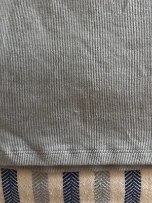 Aritzia Baby Tee TNA Cropped Blue thumbnail 5