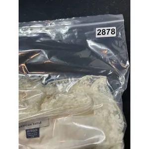 NWT American Eagle Lace Crop Top XS Ivory Sheer Fairy Boho Y2K Bell Sleeve thumbnail 13