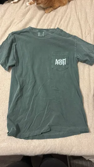 Comfort Colors T-Shirt Sorority thumbnail 3