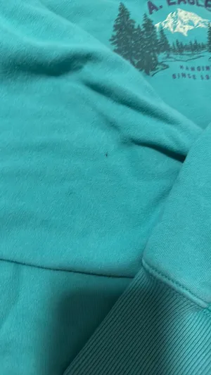 American Eagle Sweatshirt thumbnail 2