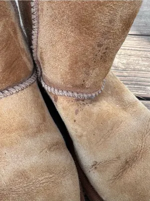 UGG Australia Classic Short Chestnut Sheepskin Boots Women’s Winter Boots thumbnail 2