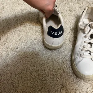 VEJA Campo Sneaks Size womens 6 thumbnail 5